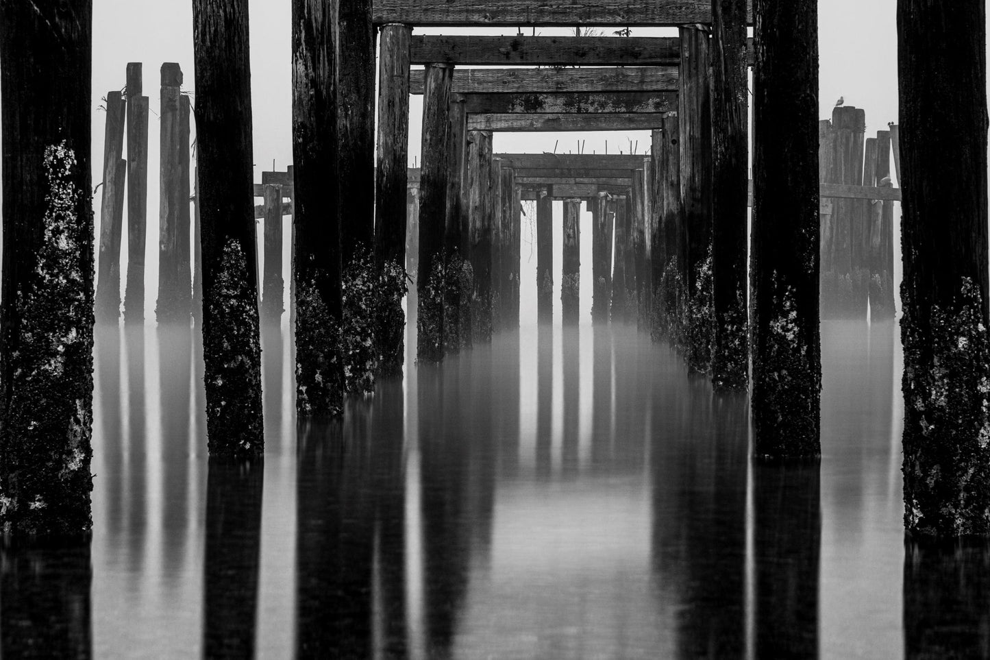 Derek Stewart photo 15-51-0013 Art Works Gallery