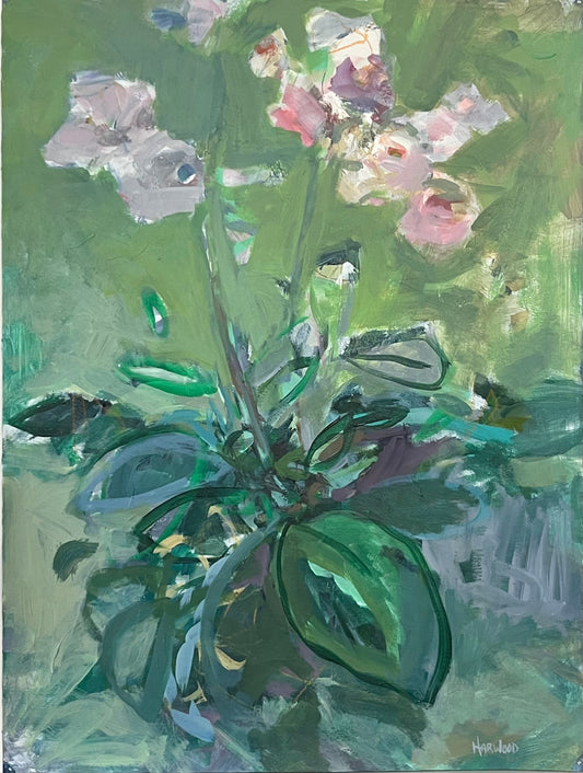 Jennifer Harwood painting Orchids 2 Art Works Gallery