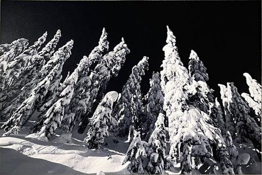 Nansi Kivisto Grouse Mountain B+W Art Works Gallery