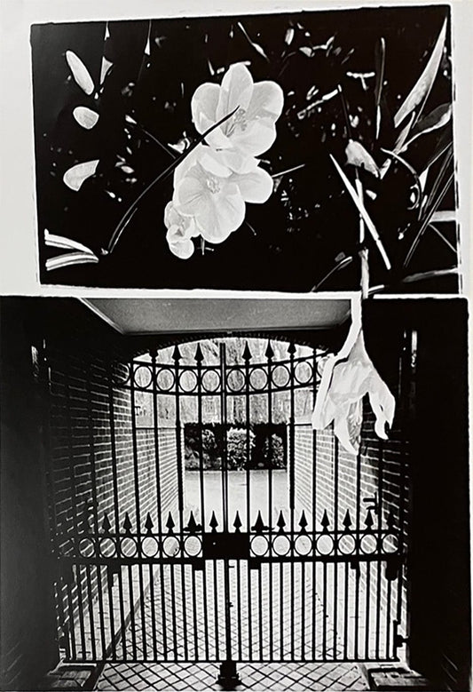 Nansi Kivisto photo Breaking Through Art Works Gallery