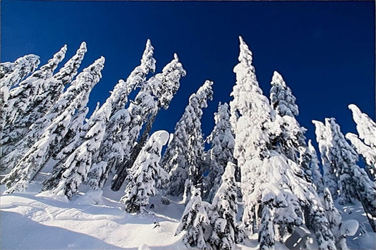 Nansi Kivisto photo Grouse Mountain Colour Art Works Gallery