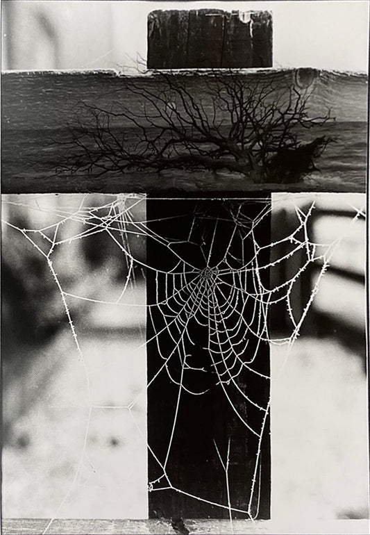 Nansi Kivisto photo Reflections, matted Art Works Gallery