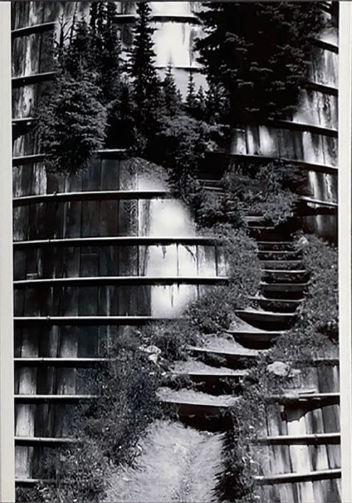 Nansi Kivisto photo Stepping up to Nature Art Works Gallery