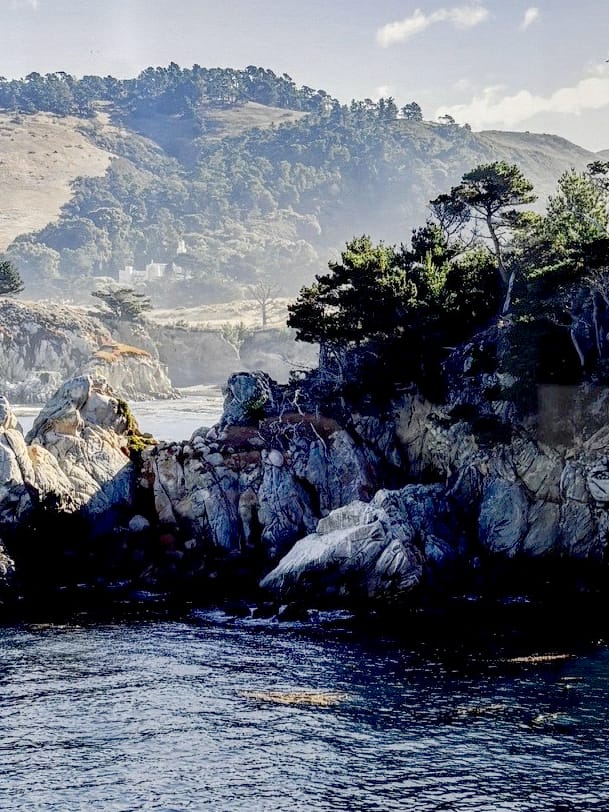Robert Florian photo Framed Photo - Point Lobos, California, 2025 Art Works Gallery
