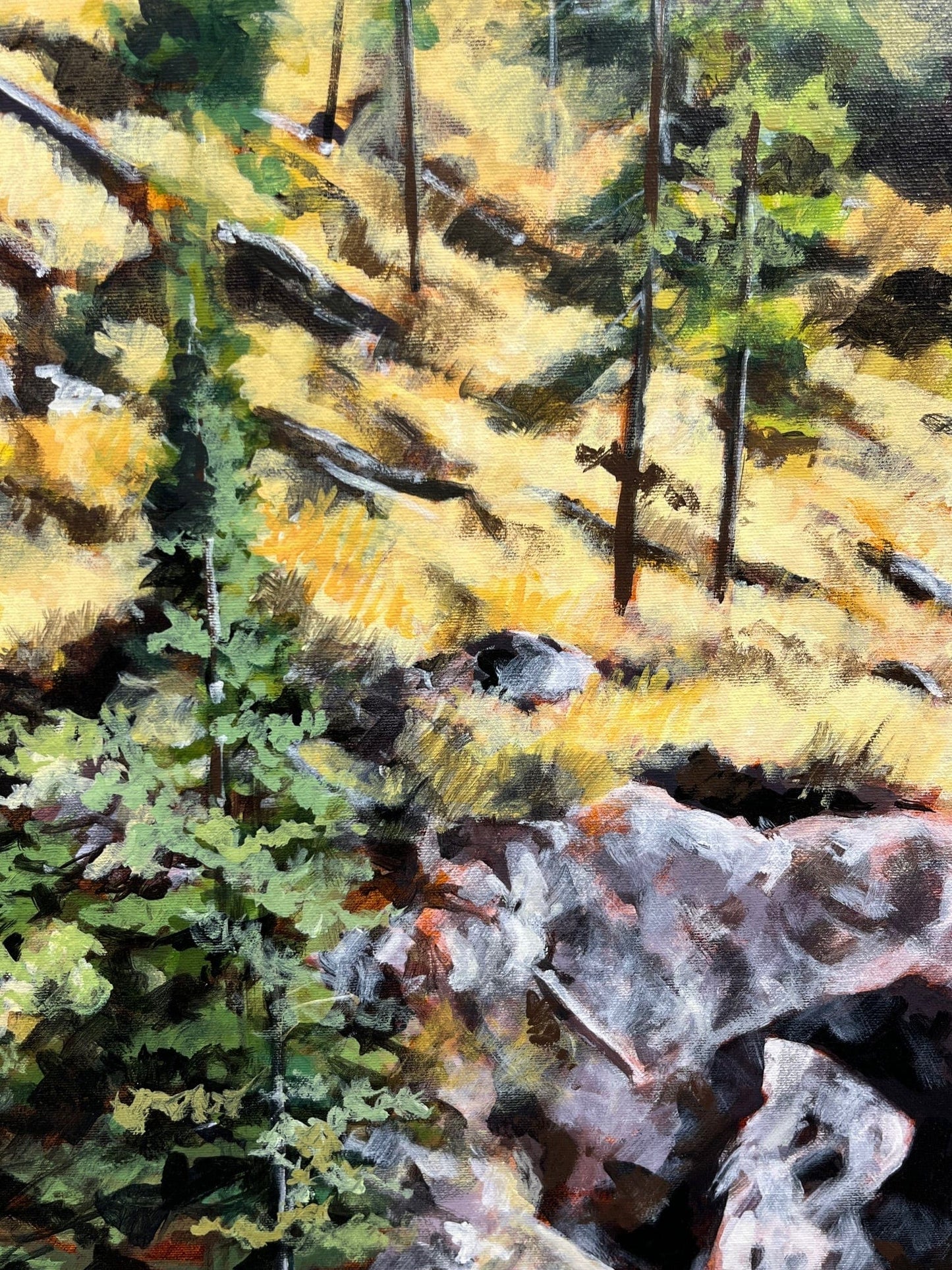 Steve Rayner painting Okanagan Heights Art Works Gallery