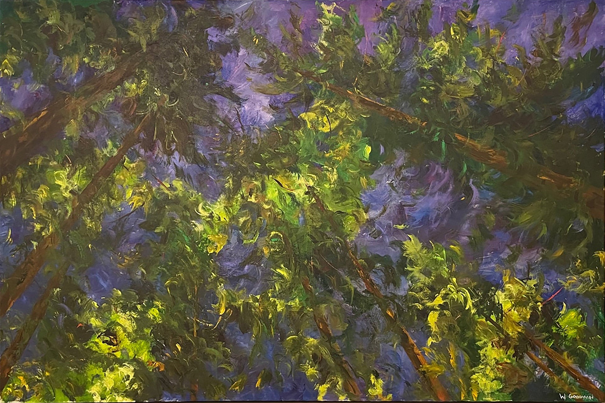 Warren Goodman painting Canopy at Dusk Art Works Gallery