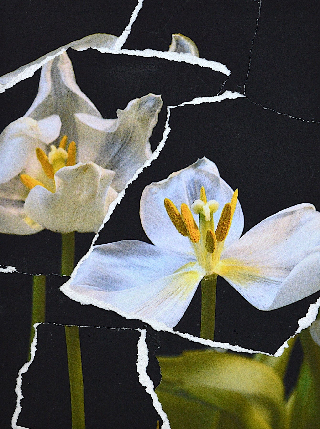 Wayne Leidenfrost painting Fall Apart Art Works Gallery