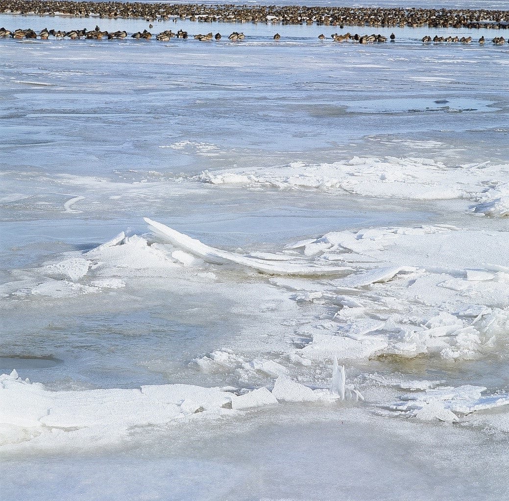 Adrian Zator photo 11-50-0005 Art Works Gallery