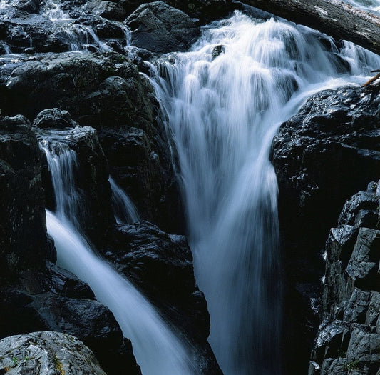 Adrian Zator photo 11-50-0012 Art Works Gallery