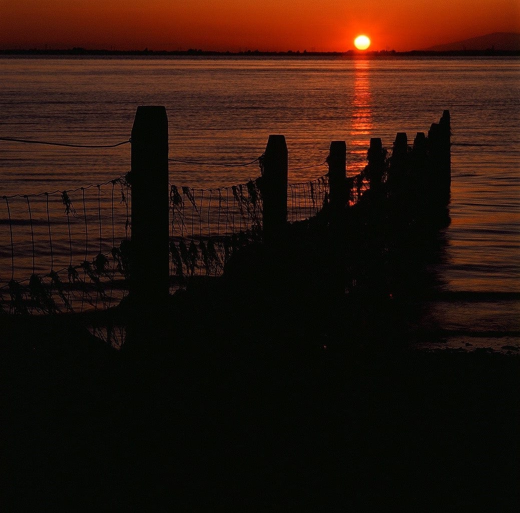 Adrian Zator photo 11-50-0045 Art Works Gallery