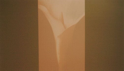 Charles Britt photo Calliland 2/25 Art Works Gallery
