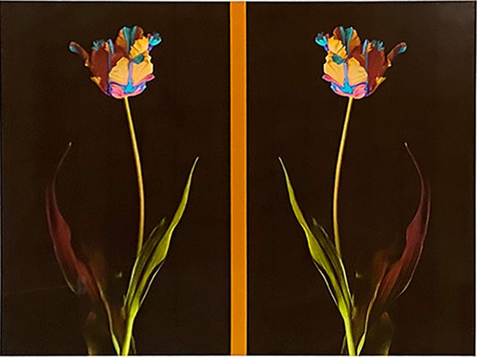 Charles Britt photo Psychedelic Garden, framed Art Works Gallery