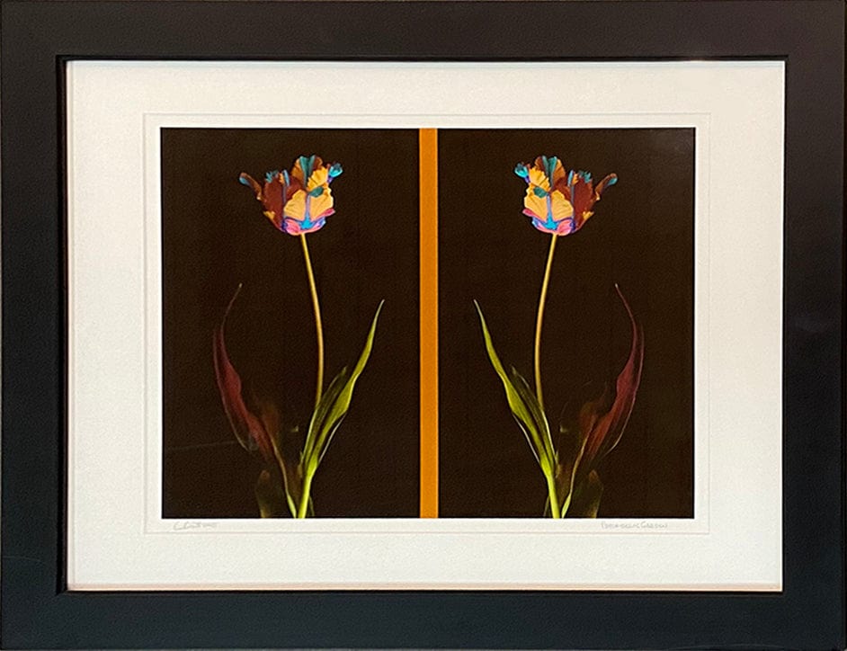 Charles Britt photo Psychedelic Garden, framed Art Works Gallery