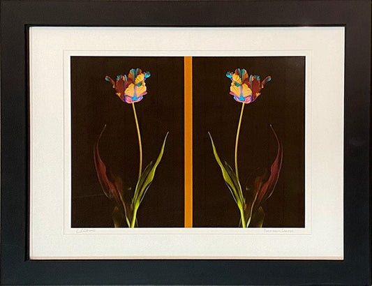Charles Britt photo Psychedelic Garden, framed Art Works Gallery