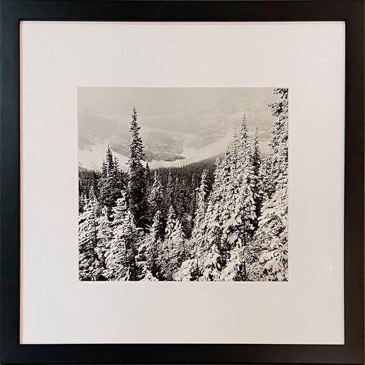 Clay Davidson photo Crowfoot Glacier Alberta 1/10, framed Art Works Gallery