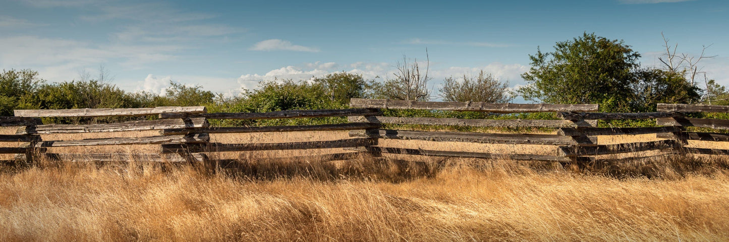 Colleen Burke photo 13-03-0009 Art Works Gallery