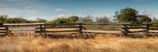 Colleen Burke photo 13-03-0009 Art Works Gallery