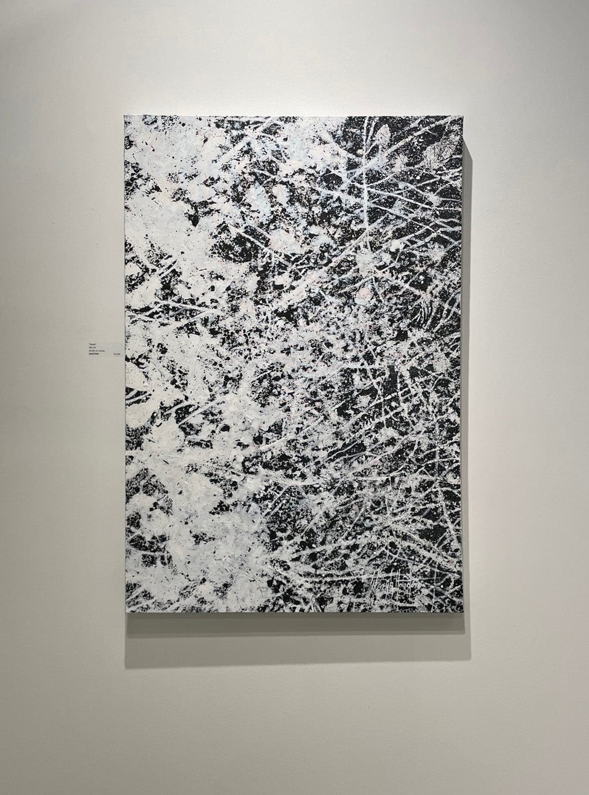 Deryk Houston painting Seeds Art Works Gallery
