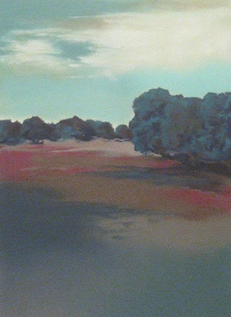 Don Bradshaw Morning Cool Art Works Gallery