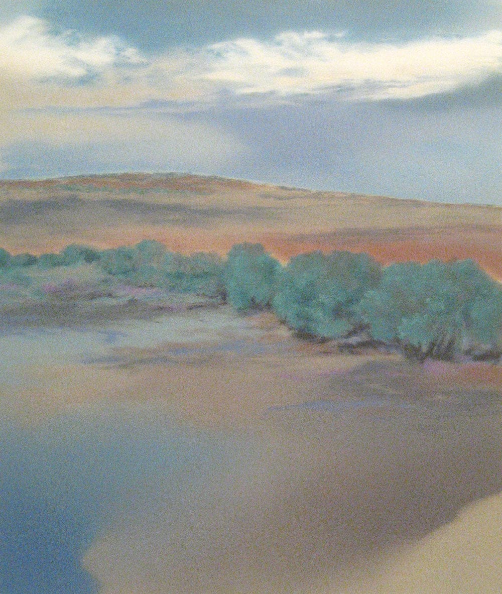 Don Bradshaw Patagonia Art Works Gallery