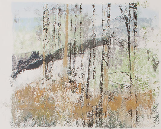 Ellen Scobie Apparent Ease 1 Art Works Gallery