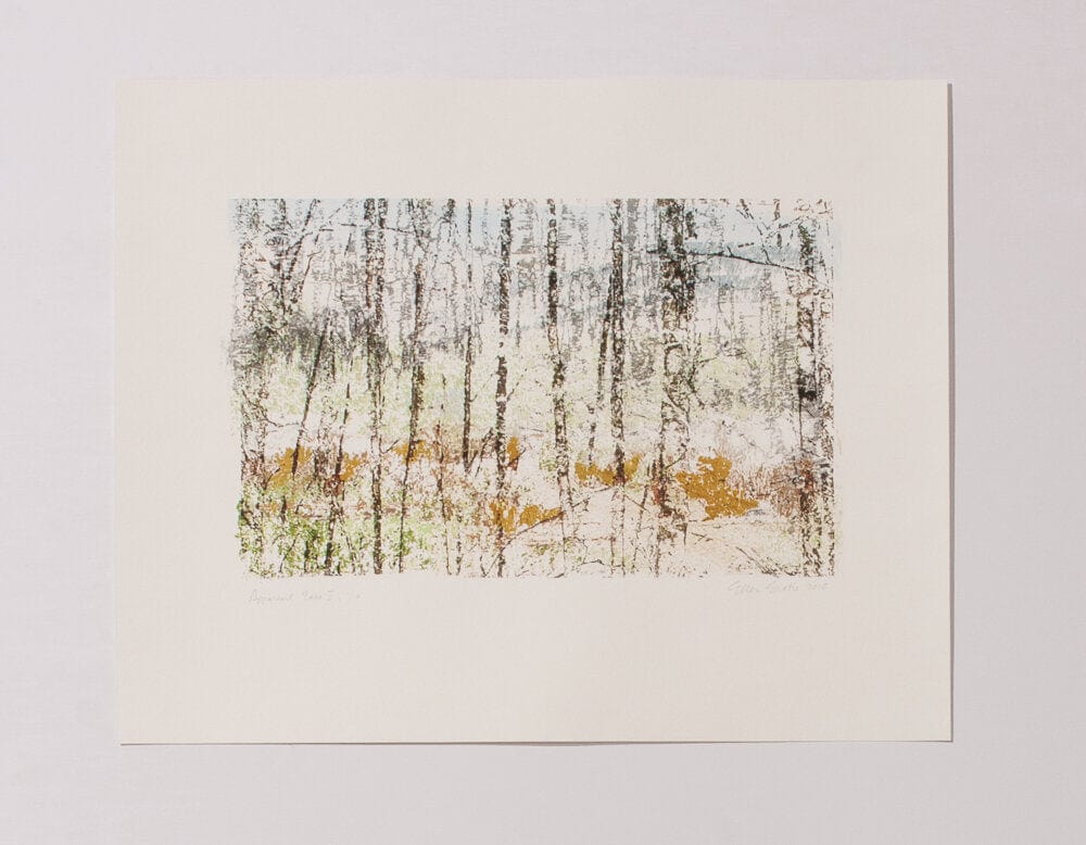 Ellen Scobie Apparent Ease II Art Works Gallery