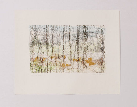 Ellen Scobie Apparent Ease II Art Works Gallery