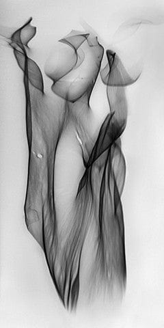 Gillian Lindsay photo 04-01-0013 Art Works Gallery