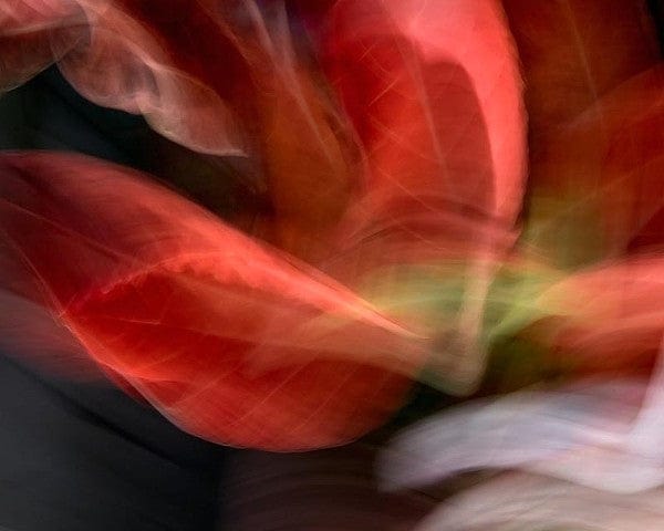 Gillian Lindsay photo 04-09-0009 Art Works Gallery