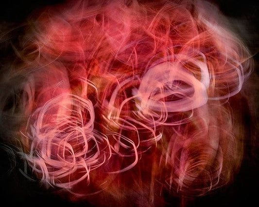 Gillian Lindsay photo Corsage Art Works Gallery