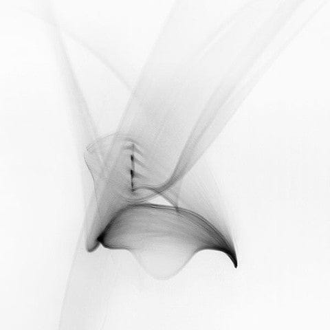 Gillian Lindsay photo Light Imitating Art - Allegro Art Works Gallery