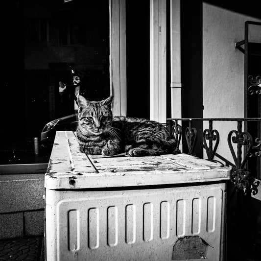 Hakan Burcuoglu photo 03-01-0005 Art Works Gallery