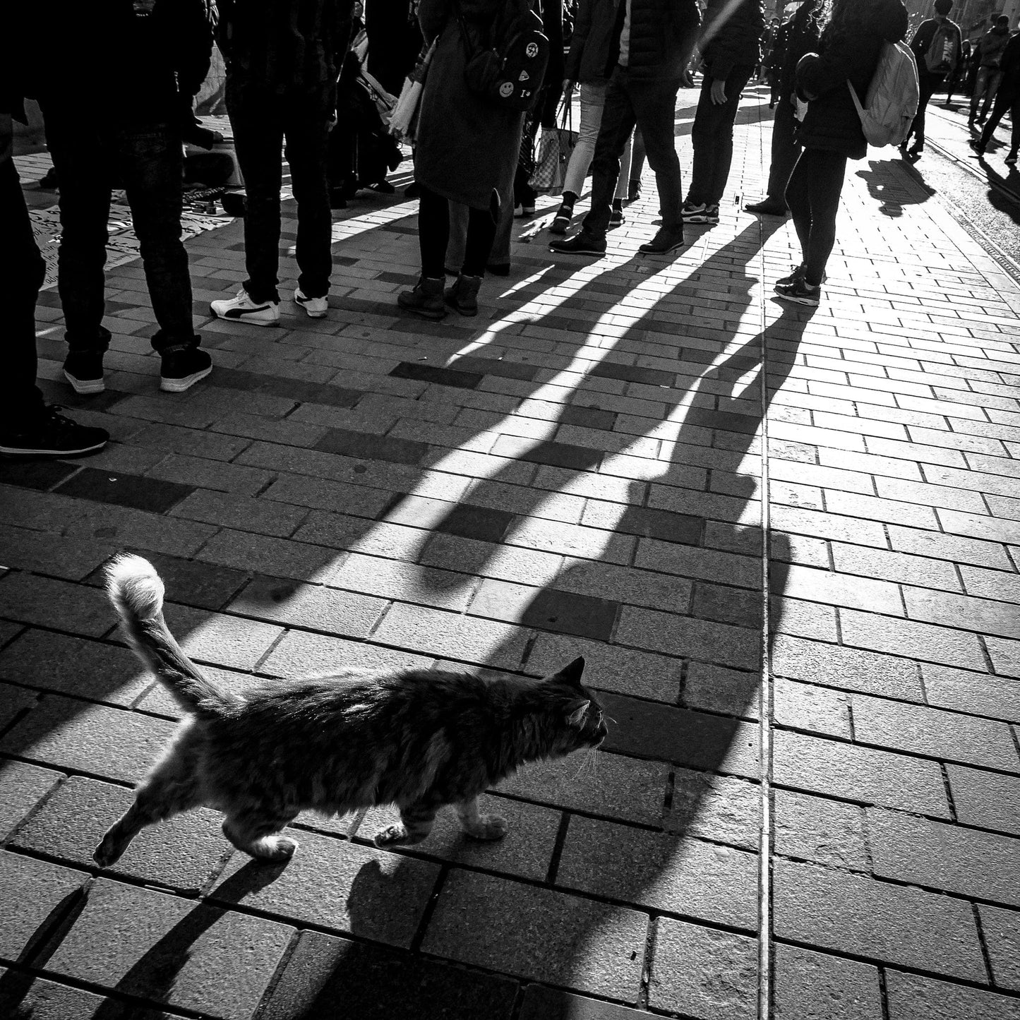 Hakan Burcuoglu photo 03-01-0015 Art Works Gallery