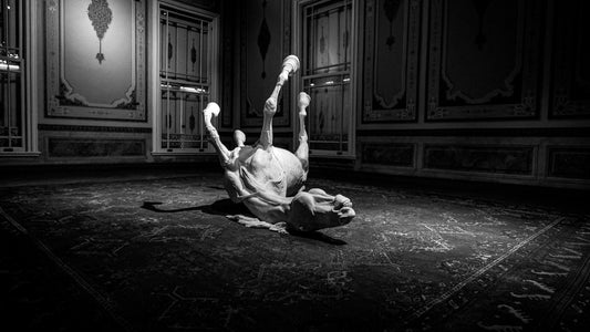 Hakan Burcuoglu photo 03-01-0016 Art Works Gallery