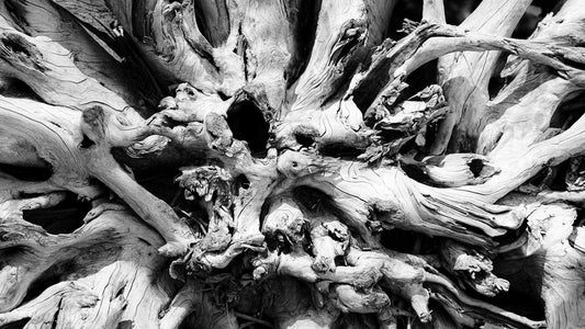 Hakan Burcuoglu photo 03-06-0013 Art Works Gallery