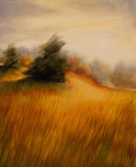 Jeff Surret Anoetic Passage I Art Works Gallery
