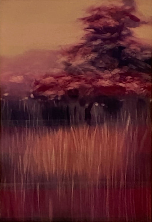 Jeff Surret Golden Breeze II, framed Art Works Gallery