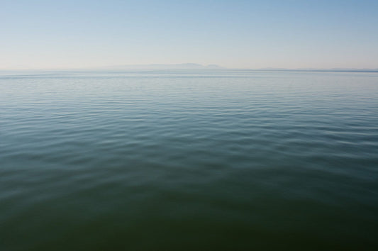 Marilaine Delisle photo 02-01-0007 Art Works Gallery