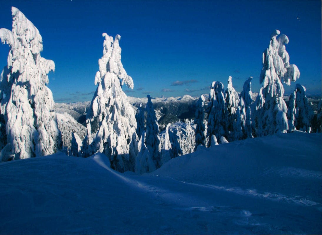 Nansi Kivisto photo Grouse Mountain Range Art Works Gallery