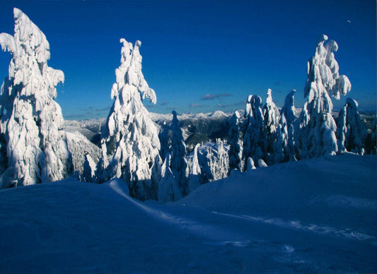 Nansi Kivisto photo Grouse Mountain Range Art Works Gallery