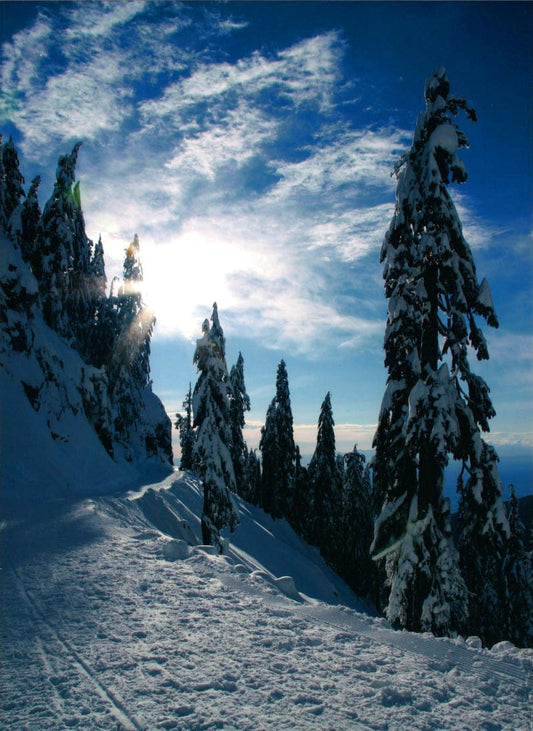 Nansi Kivisto photo Grouse Mountain Trail Art Works Gallery