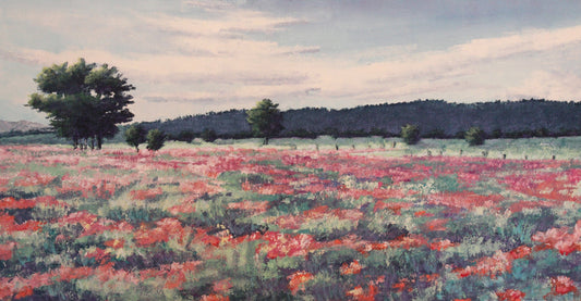 Peggy Corthouts Poppy Field Art Works Gallery