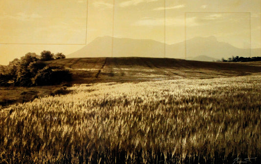 Pezhman photo Basque Country II Art Works Gallery