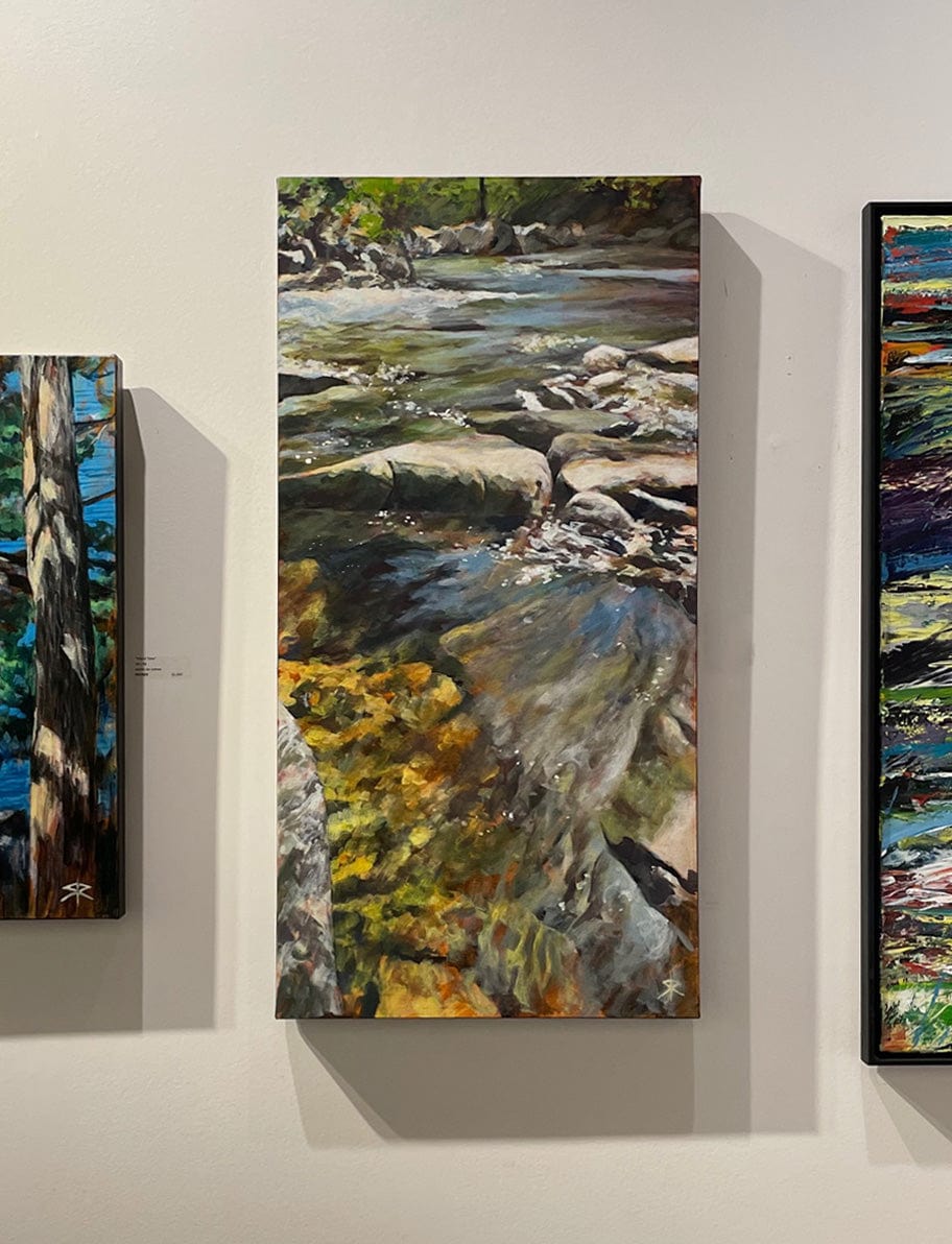 Steve Rayner painting Slow and Steady Art Works Gallery