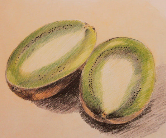 Susan Singleton limited edition Kiwi Art Works Gallery