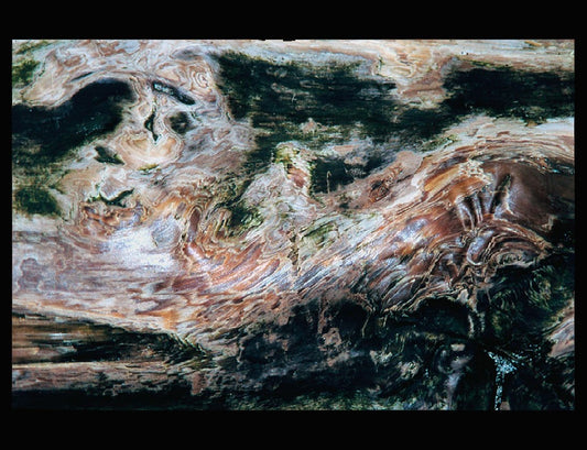 Zohar photo Driftwood 114 Art Works Gallery