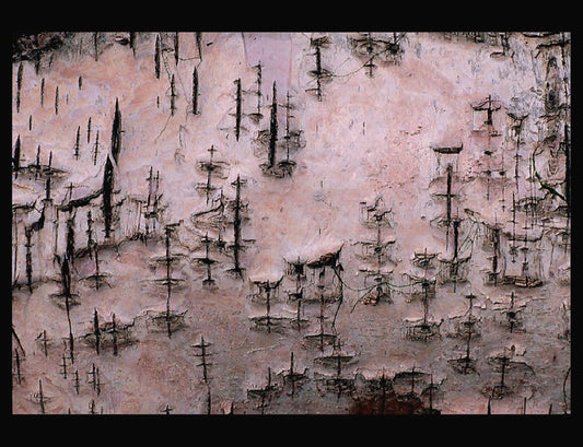 Zohar photo Driftwood 119 Art Works Gallery