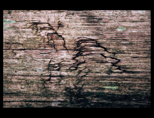 Zohar photo Driftwood 128 Art Works Gallery