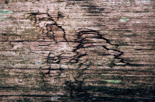 Zohar photo Driftwood 128 Art Works Gallery