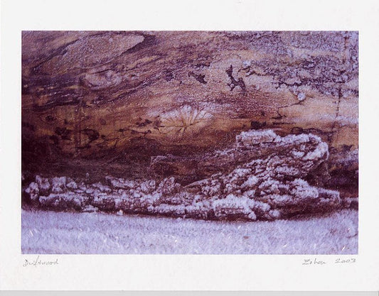 Zohar photo Driftwood 138 Art Works Gallery